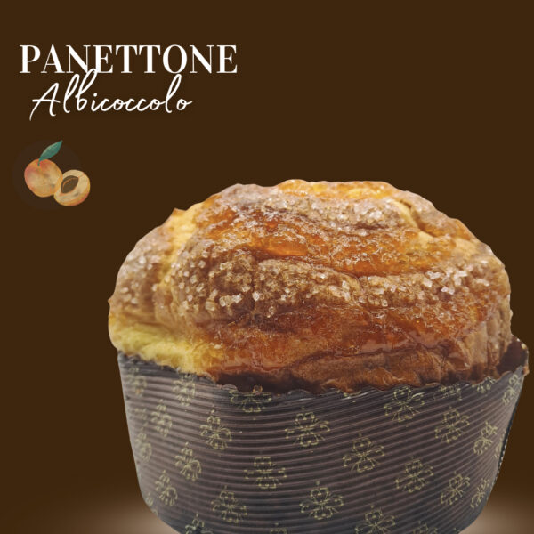 Panettone Albicoccolo