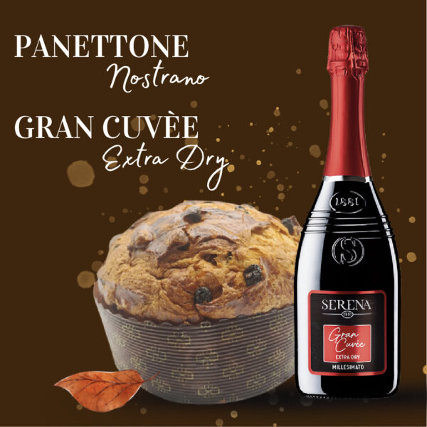 Box Natale: Panettone Nostrano + Gran Cuvèe Extra Dry